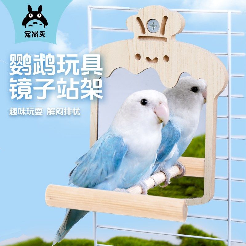 宠尚天鹦鹉镜子站架玄凤牡丹虎皮站棍站杆站棒鸟笼造景玩具用品,淘宝优惠券,粉丝福利购,淘宝优惠卷