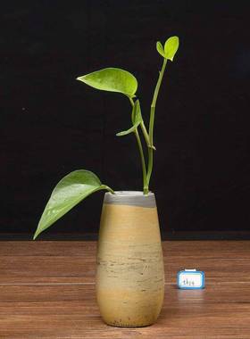 内有石多款草花石石国瓶画天然山水画奇小天珠花可F87567MJ装水不