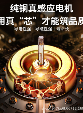 家用洗车机高压水枪洗车器超高压清洗机2000w高压水枪大压力洗地