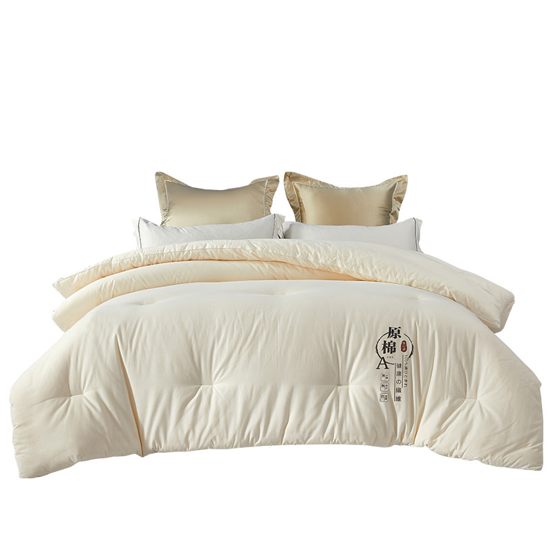 A类原棉南通被子冬被8斤大豆纤维棉被加厚被芯春秋太空被四季空调,淘宝优惠券,粉丝福利购,淘宝优惠卷