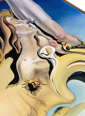 达利装饰画北欧画小众性冷淡风油画世界名画艺术画民宿挂画