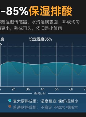 麦大厨牛肉熟成柜商用干式牛排柜恒温排酸柜冷藏保鲜冷冻展示柜