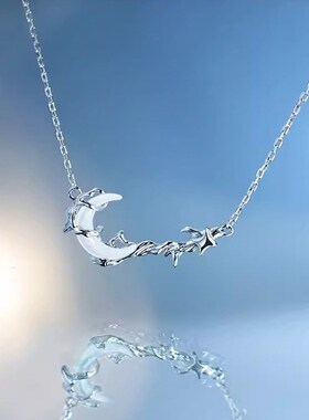 纯银苍月亮项链女生轻奢小众设计高级感锁骨链新款生日礼物送女友