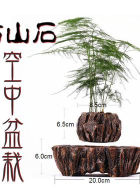 磁居悬浮M005B-PW空中盆悬浮植物盆栽创意件家摆饰品工艺礼品新奇