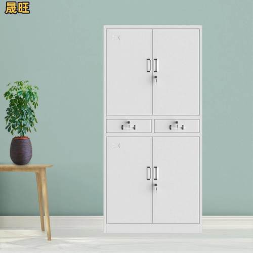 铁玻璃对开矮柜资料档案存放收纳柜书柜柜带锁密码储物柜防火防盗 - 图1