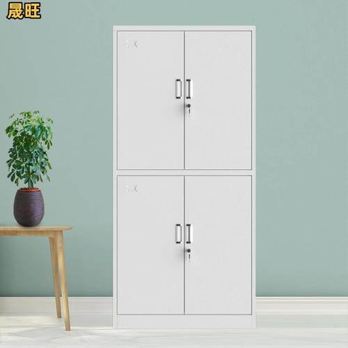 铁玻璃对开矮柜资料档案存放收纳柜书柜柜带锁密码储物柜防火防盗 - 图2
