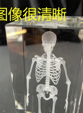 人体骨骼模型水晶内雕结构图激光立体解剖医学生道具水晶工艺品