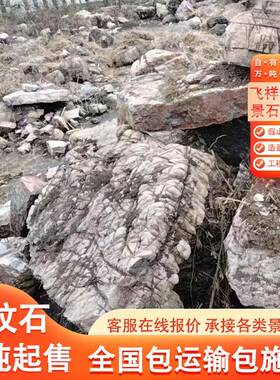 景观石头龟纹石天原然石工造景石公园造景景区假设山计施龟纹龟纹