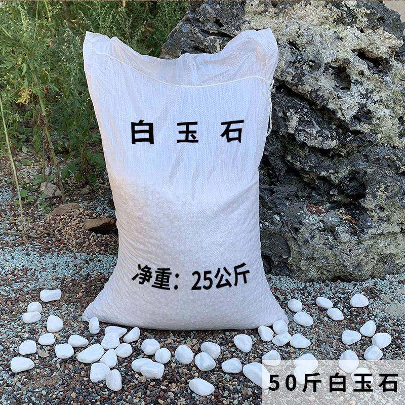 白玉卉石子植物铺面造汉玉景白色小石头花绿植垫底鹅卵石50白石子,淘宝优惠券,粉丝福利购,淘宝优惠卷