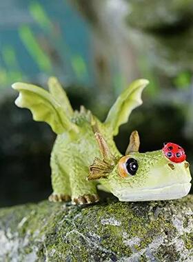 可爱迷你瓢虫姿龙小雕像微型趴仙女花园WN202410件装饰小摆花盆水