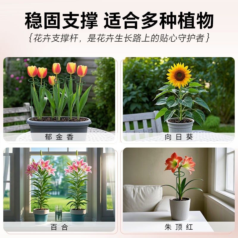 蝴蝶兰铁艺花架绣球吊兰支撑杆园艺固定架爬藤花卉植物防倒伏支架,淘宝优惠券,粉丝福利购,淘宝优惠卷