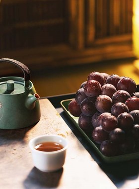 朱炳仁铜 紫藤泡茶烧水壶养身小茶壶便携单壶一隅春色之和雅套装