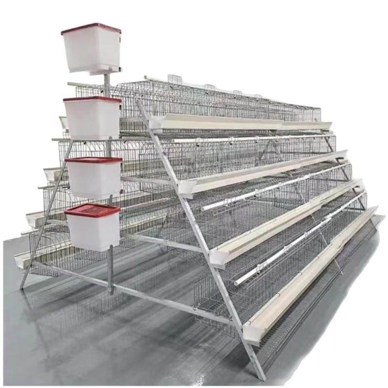 4层4门蛋鸡笼阶梯笼A型笼冷镀/热镀锌工艺养鸡笼,淘宝优惠券,粉丝福利购,淘宝优惠卷