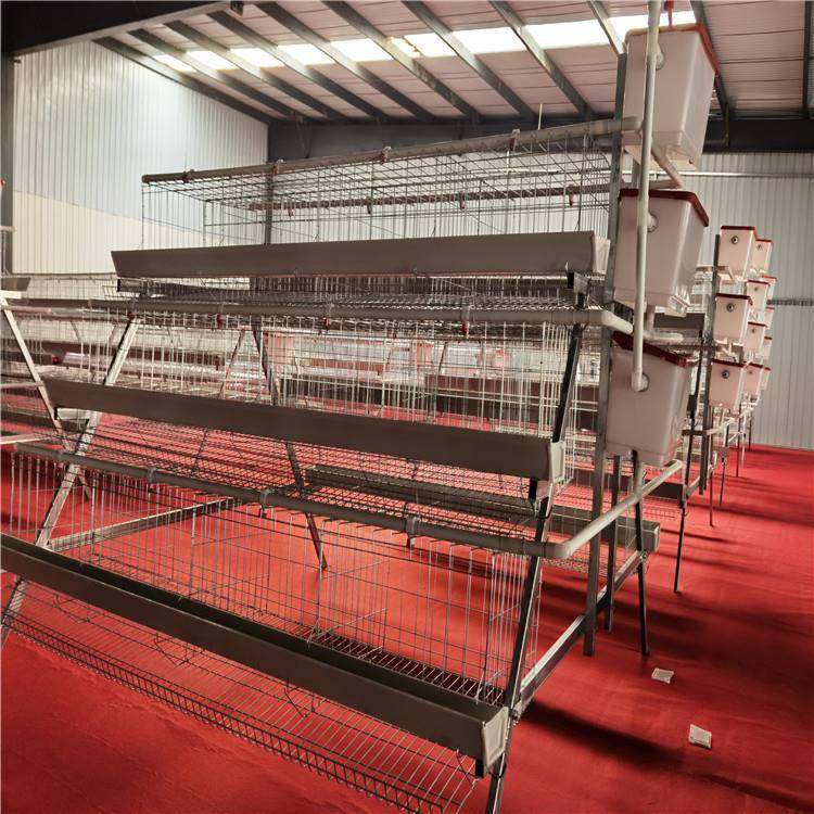 四层四门白槽阶梯蛋鸡笼镀锌工艺耐用耐腐蚀空间错位粪便易,淘宝优惠券,粉丝福利购,淘宝优惠卷