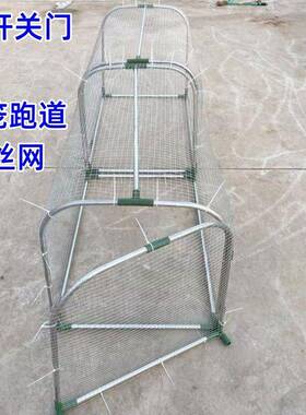 走地铁网鸡笼跑道养鸡隧道笼子农场户外溜达鸡笼子庭院农家用散养
