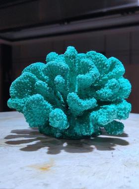 简约2545现代摆设脂仿珊瑚客厅真软配饰桌装面书柜海树洋带底座摆