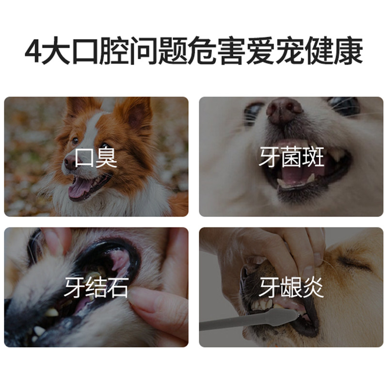 新宠适洁牙粉宠物猫咪牙齿清洁口腔狗狗减少口臭牙结石替代漱口水,淘宝优惠券,粉丝福利购,淘宝优惠卷