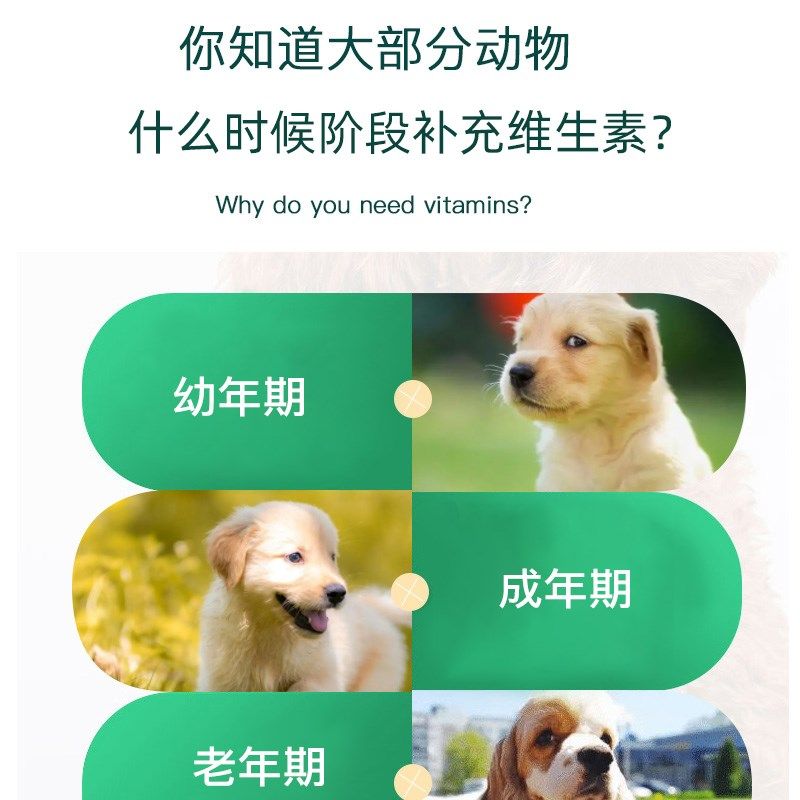 金毛专用复合维生素片微量元素多种维生素幼犬成犬宠物营养品,淘宝优惠券,粉丝福利购,淘宝优惠卷