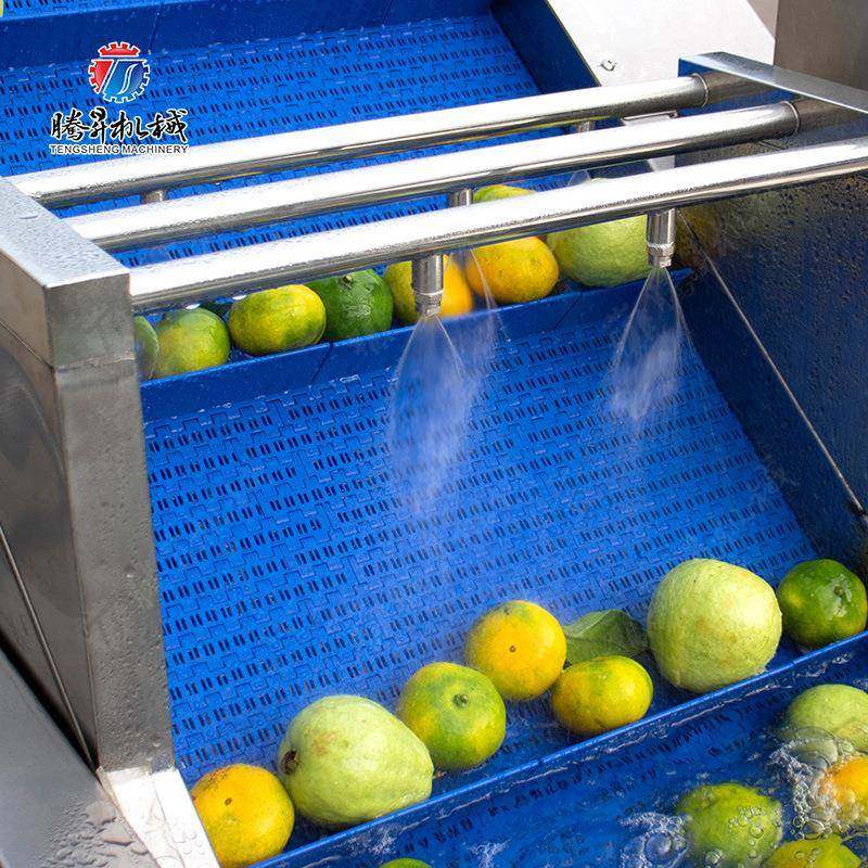 果蔬气泡消毒清洗去农残风干生产线 全自动果蔬加工设备 腾昇机械,淘宝优惠券,粉丝福利购,淘宝优惠卷