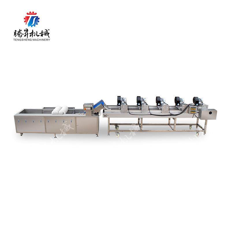 果蔬气泡消毒清洗去农残风干生产线 全自动果蔬加工设备 腾昇机械,淘宝优惠券,粉丝福利购,淘宝优惠卷