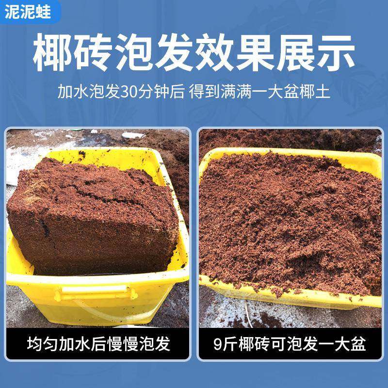 仙盐兔gy744713椰砖营养土大养花通用型糠脱种菜土壤块椰砖土9斤,淘宝优惠券,粉丝福利购,淘宝优惠卷