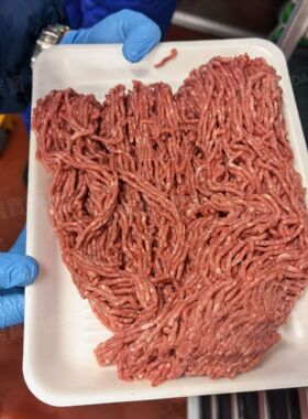 W肉制品馅料绞肉设备碎骨 全自动冻鲜肉绞肉机可搭配分条机产线