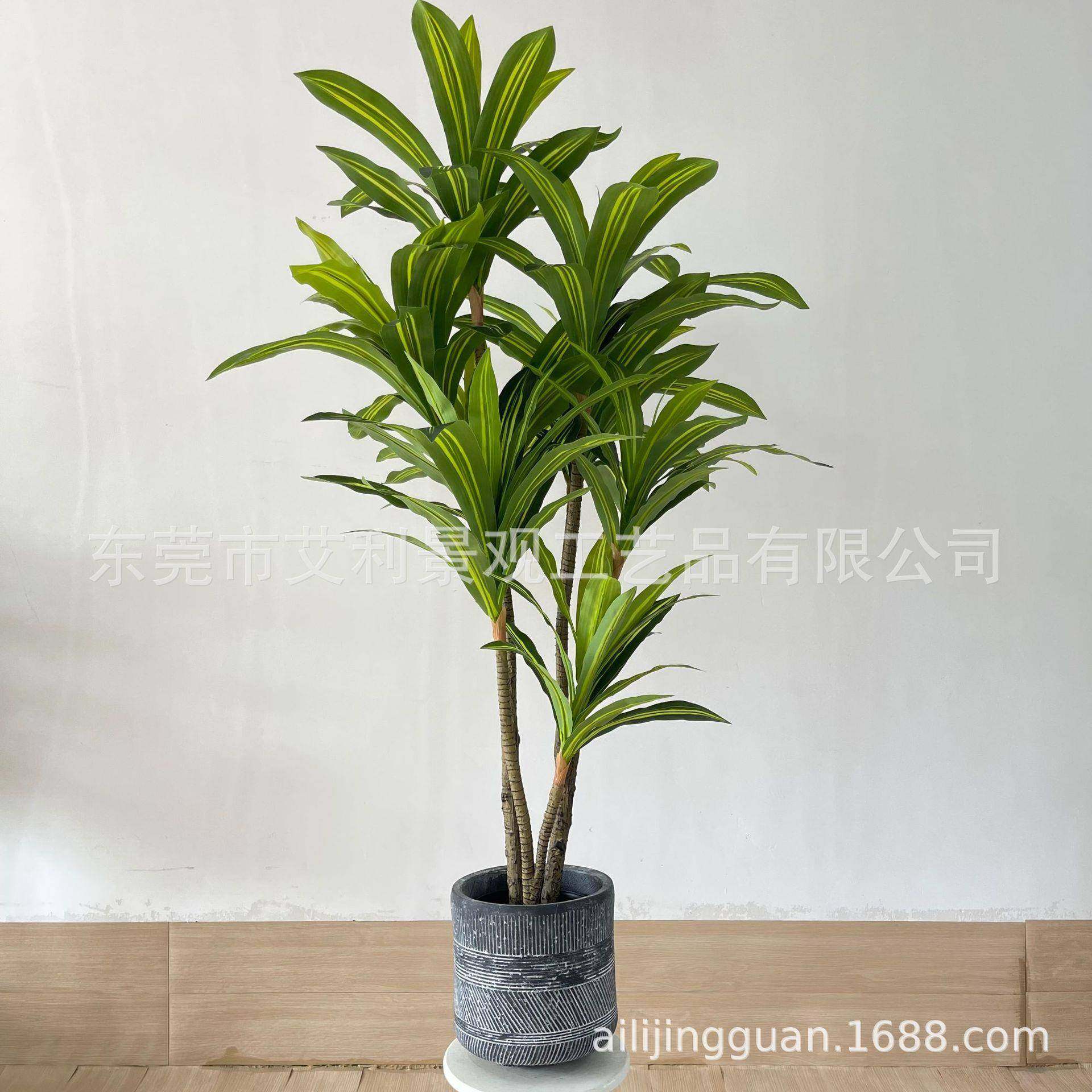 大型落地家绿树植巴西木盆栽居室内AL-BXT-1植装饰摆件巴西铁物,淘宝优惠券,粉丝福利购,淘宝优惠卷