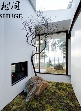 干树枝造景干枝枯树许愿树枯树室内庭院造型树枝干原木树枝装饰树