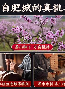 桃木入户大门贴牌匾门牌挂件天宫邻居门对门电梯挂饰摆件