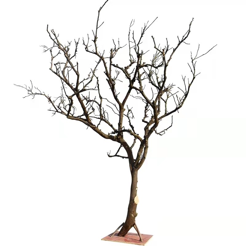 白色干树枝造景干枝树干许愿树枯树室内造型树枝干原木树枝装饰树 - 图2