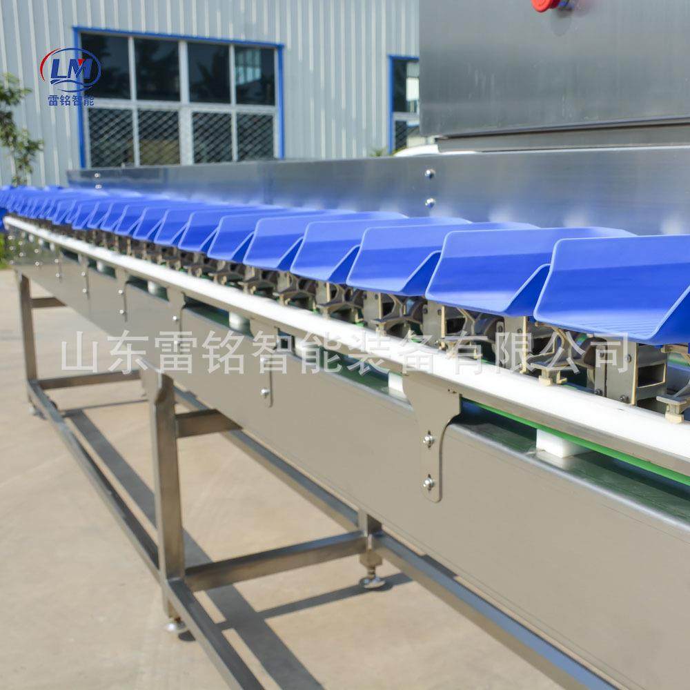 白条鸡副产品料盒分选机休闲食品加工厂高精度果干肉脯称重分拣机,淘宝优惠券,粉丝福利购,淘宝优惠卷