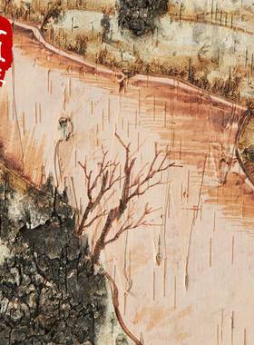 刻画桦木树画家居合皮装y饰树皮画-0大自然风格白桦树皮场di手工