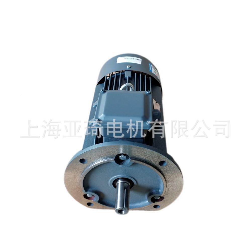 TL0003-1EB21TL0001-3-3JA41-.51W-B385IE3贝得电机 - 图3