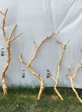 干树枝原木去皮枯树干衣架艺术造型干枝摆设创意家居摆件装饰树杆