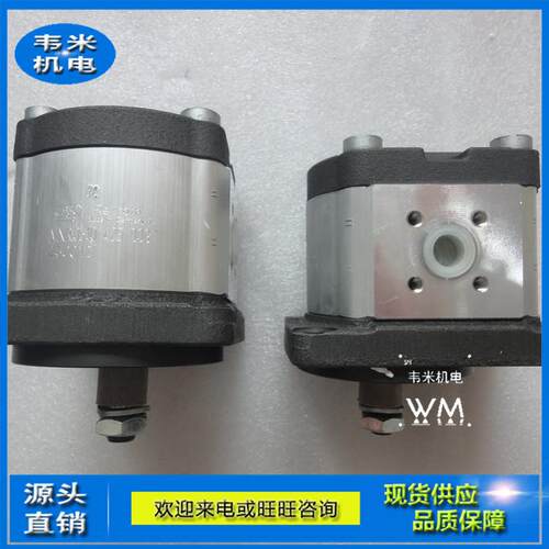推土机用齿轮泵15172227AZPF-12-004RNT20MB质保一年液压油泵 - 图0