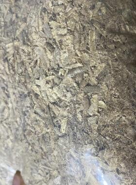 金丝楠木小叶桢楠花雕WOS锯末粉枕坐垫刨抱枕香头包填木充