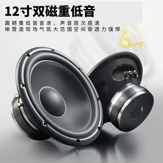 包邮奇声专业家庭ktv音响套装全套卡拉ok点歌机家用k歌影院组合音