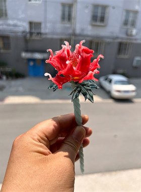 手作灯工玻璃铃兰鸢尾花枝虞美人摆件琉璃水晶安达知江永生花龙年