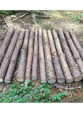 鱼缸沉木森林树干水草造景红杉木雨林缸装饰乌龟缸杜鹃根香槟树枝