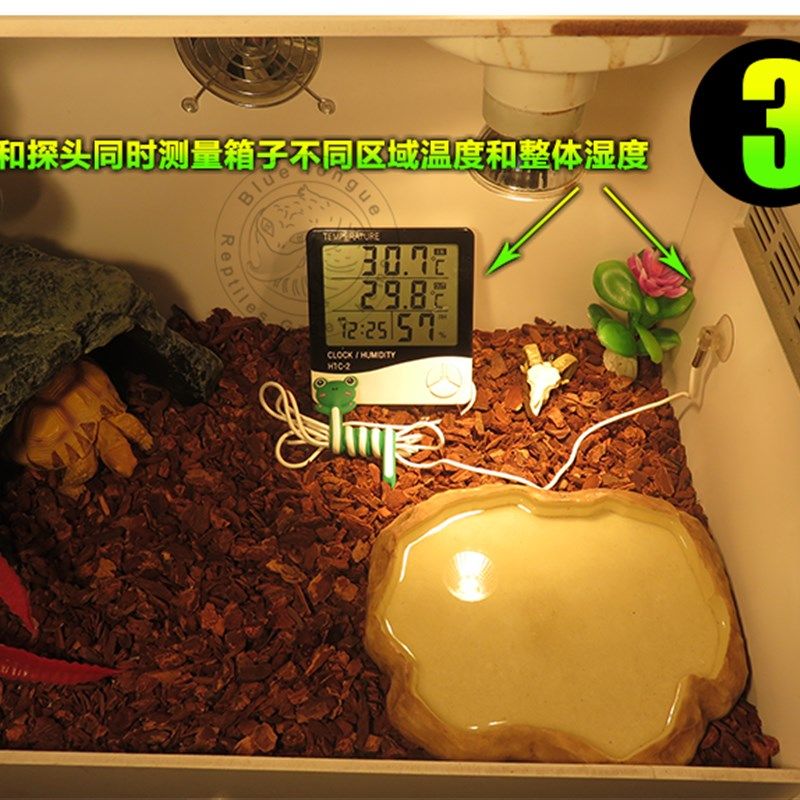 爬虫电子温度计探头温湿度计爬宠箱陆龟蜥蜴宠物温度计高精度双温,淘宝优惠券,粉丝福利购,淘宝优惠卷