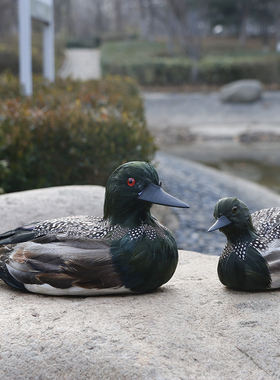 仿真鸭子母鸡动物模型摆件真羽毛家禽白鸭花鸭卧鸭超市装饰品道具