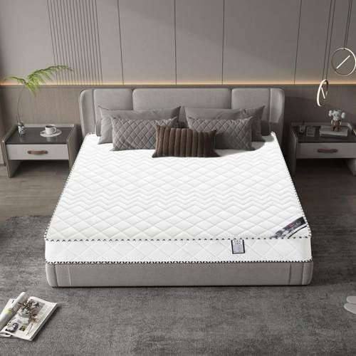 XYJ0棕.9米人床垫双床席梦床弹簧床1.51.8椰加厚硬软垫思20cKZWm - 图0