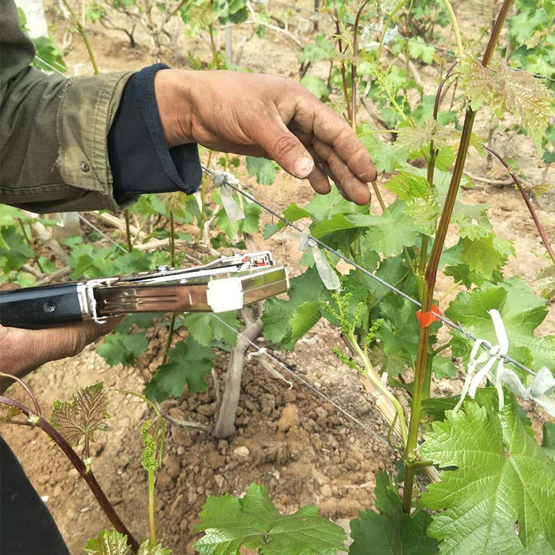 西红柿绑枝机葡萄捆绑机新款圣女果黄瓜绑蔓机胶带钉子番茄结束机,淘宝优惠券,粉丝福利购,淘宝优惠卷