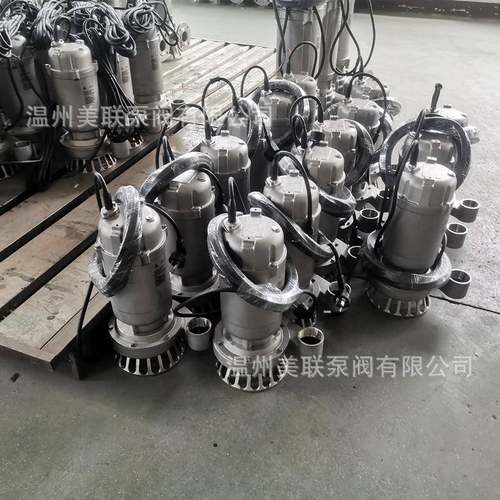 Q()-S全W153不锈钢污水物潜水电泵D带切搅匀、割装置 - 图1