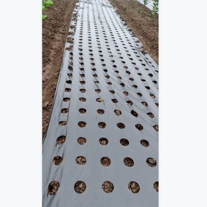 打孔地膜农用种植带孔农膜地膜反光地膜大棚塑料玉米蔬菜大葱地膜,淘宝优惠券,粉丝福利购,淘宝优惠卷