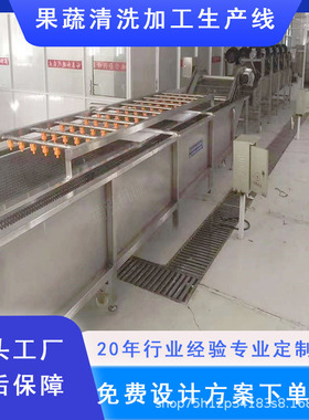 盐水黄花菜去杂清洗机 不锈钢秋梨膏加工设备 秋月梨气泡清洗机