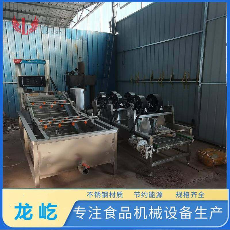 全自动小鱼仔清洗线6000型蔬菜清洗设备304材质果蔬气泡清洗机,淘宝优惠券,粉丝福利购,淘宝优惠卷