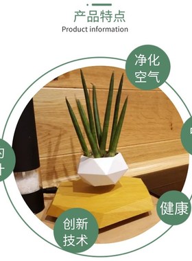反重力自动旋转磁悬浮花盆情绪稳定办公桌家居摆件花草植物装饰品