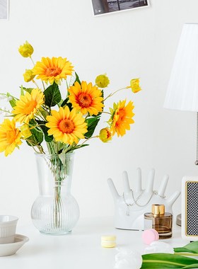 玻璃花瓶插花家居饰品摆件电视柜办公室客厅玄关乔迁之喜创意装饰