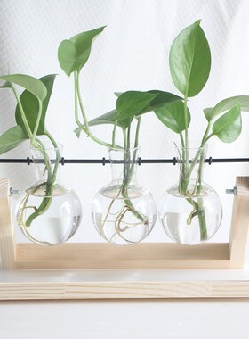 创意木架水培花瓶绿萝玻璃花瓶容器办公室内桌面绿植摆件装饰花盆